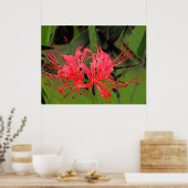 Spider Lily 2 Poster (Küche)