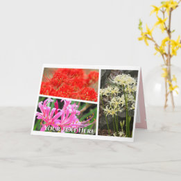 Spider Lily Karte