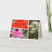 Spider Lily Karte (Vorderseite)