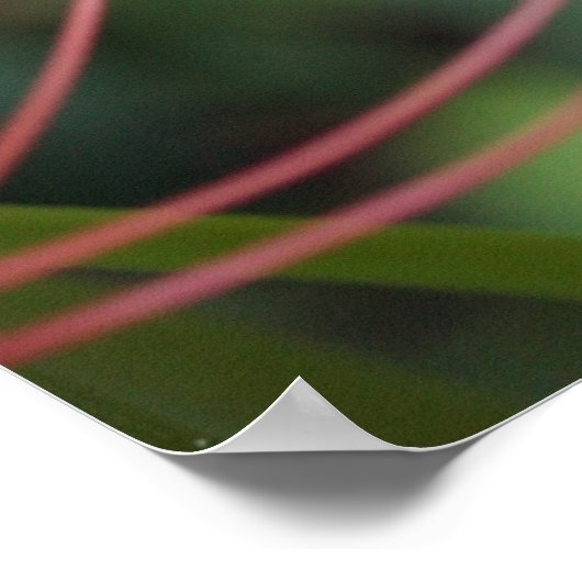 Spider Lily Poster (Ecke)