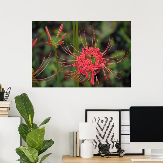 Spider Lily Poster (Heimbüro)
