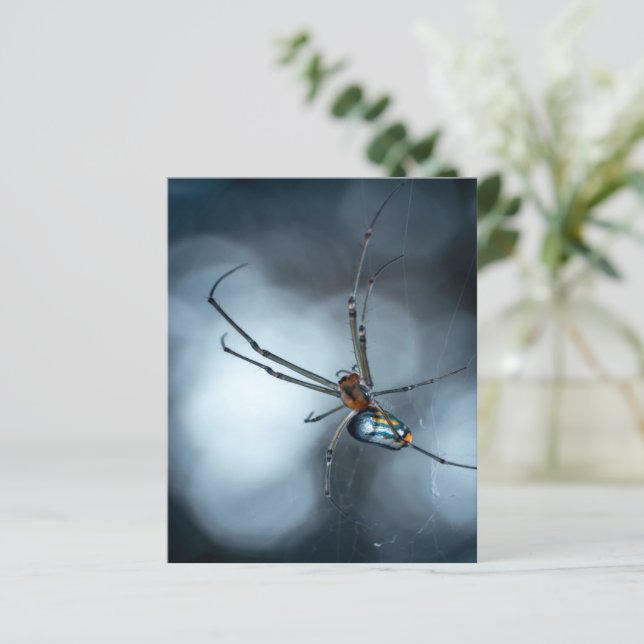 Spider Lovers | Beauty Spider mit Weben (Stehend Vorderseite)