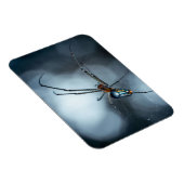 Spider Lovers | Beauty Spider mit Weben Magnet (Rechte Seite)