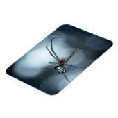 Spider Lovers | Beauty Spider mit Weben Magnet (Linke Seite)