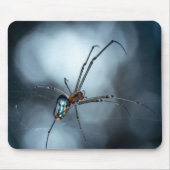 Spider Lovers | Beauty Spider mit Weben Mousepad (Vorne)