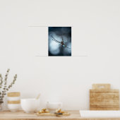 Spider Lovers | Beauty Spider mit Weben Poster (Küche)