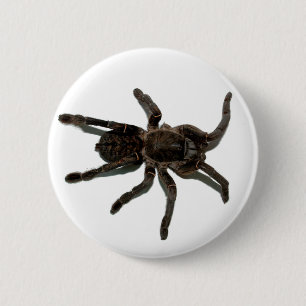 Spider Lovers Button