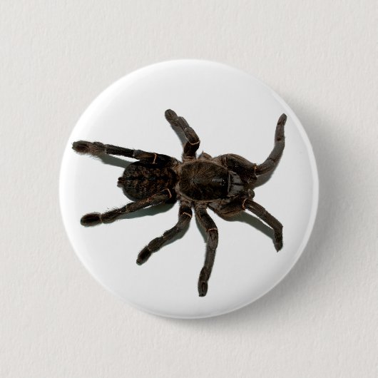 Spider Lovers Button (Vorderseite)