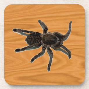 Spider Lovers Untersetzer