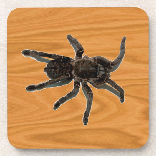 Spider Lovers Untersetzer (Vorderseite)