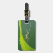 Spider Luggage Tag Gepäckanhänger (Vorderseite vertikal)