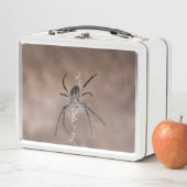 Spider Lunch Box (Beispiel)
