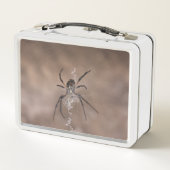Spider Lunch Box (Rückseite)