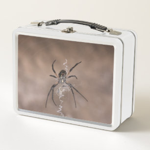 Spider Lunch Box