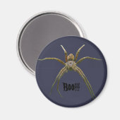 Spider Magnet (Vorderseite/Rückseite)