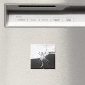 Spider Magnet (In Situ (Geschirrspüler))