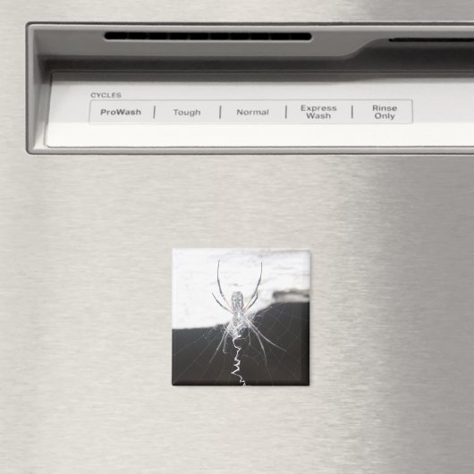 Spider Magnet (In Situ (Geschirrspüler))