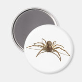 Spider Magnet (Vorderseite/Rückseite)