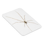 Spider Magnet (Rechte Seite)