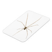 Spider Magnet (Linke Seite)