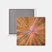 Spider Magnet (Vorderseite/Rückseite)