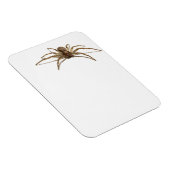 Spider Magnet (Rechte Seite)