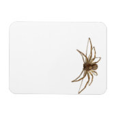 Spider Magnet (Horizontal)