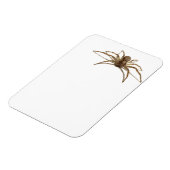 Spider Magnet (Linke Seite)