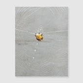 Spider Magnetkarte (Vorderseite)