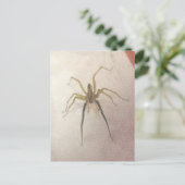 Spider Male Postcard Postkarte (Stehend Vorderseite)