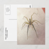 Spider Male Postcard Postkarte (Vorne/Hinten)