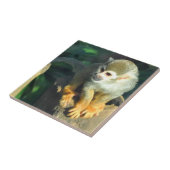 Spider Monkey Fliese (Seite)