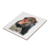 SPIDER MONKEY FLIESE (Seite)