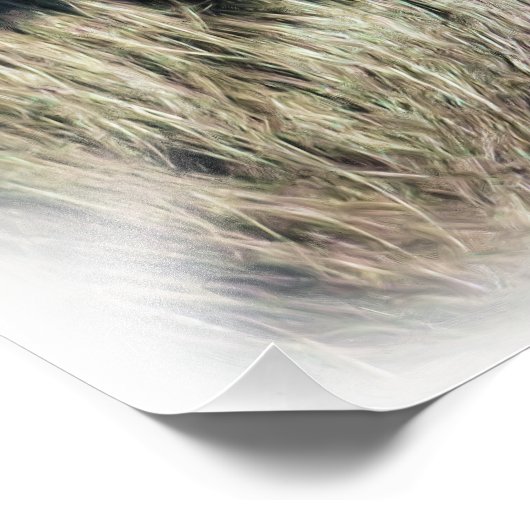 SPIDER MONKEY FOTODRUCK (Ecke)