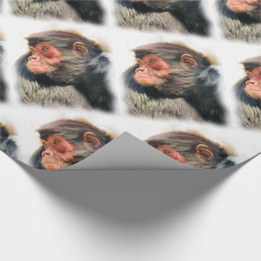 SPIDER MONKEY GESCHENKPAPIER (Ecke)