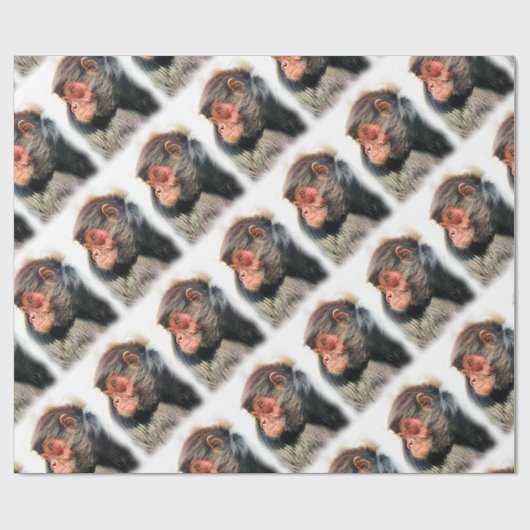 SPIDER MONKEY GESCHENKPAPIER (Flach)