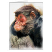 SPIDER MONKEY GREETINGS CARDS (Vorne)