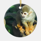Spider Monkey Keramikornament (Vorne)