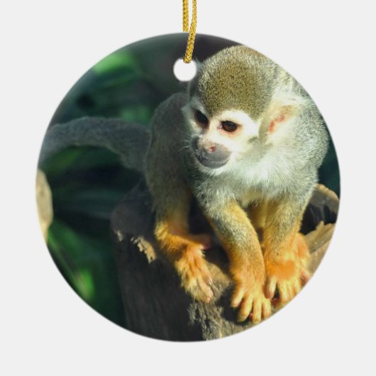 Spider Monkey Keramikornament (Vorne)