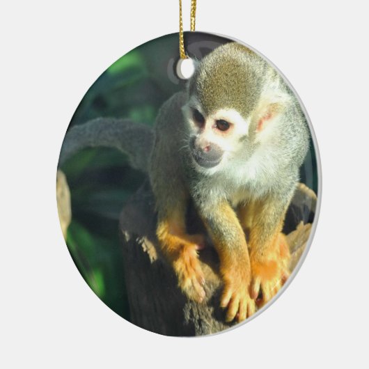 Spider Monkey Keramikornament (Links)