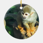 Spider Monkey Keramikornament (Hinten)