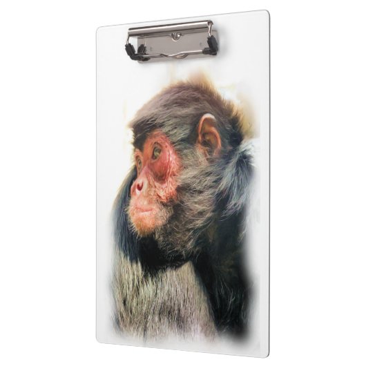 SPIDER MONKEY KLEMMBRETT (Links)