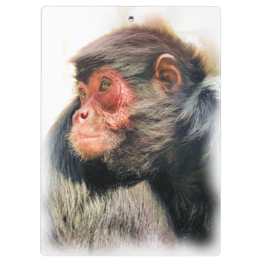 SPIDER MONKEY KLEMMBRETT (Rückseite)