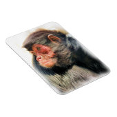 SPIDER MONKEY MAGNET (Rechte Seite)