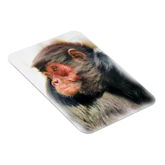 SPIDER MONKEY MAGNET (Rechte Seite)
