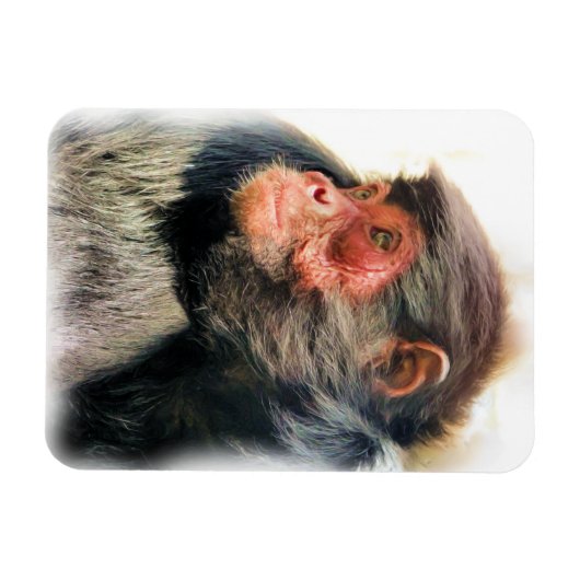 SPIDER MONKEY MAGNET (Horizontal)