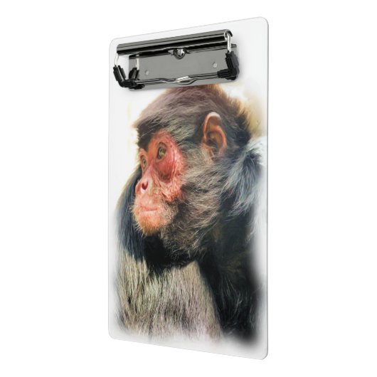 SPIDER MONKEY MINI KLEMMBRETT (Gewinkelt2)