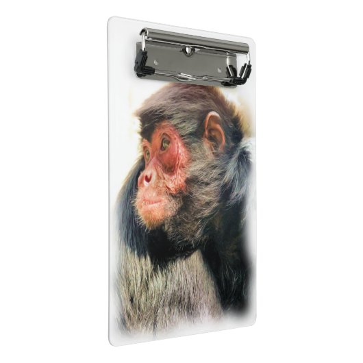 SPIDER MONKEY MINI KLEMMBRETT (Schrägansicht)