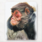 SPIDER MONKEY MOUSEPAD (Vorne)