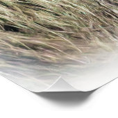 SPIDER MONKEY POSTER (Ecke)